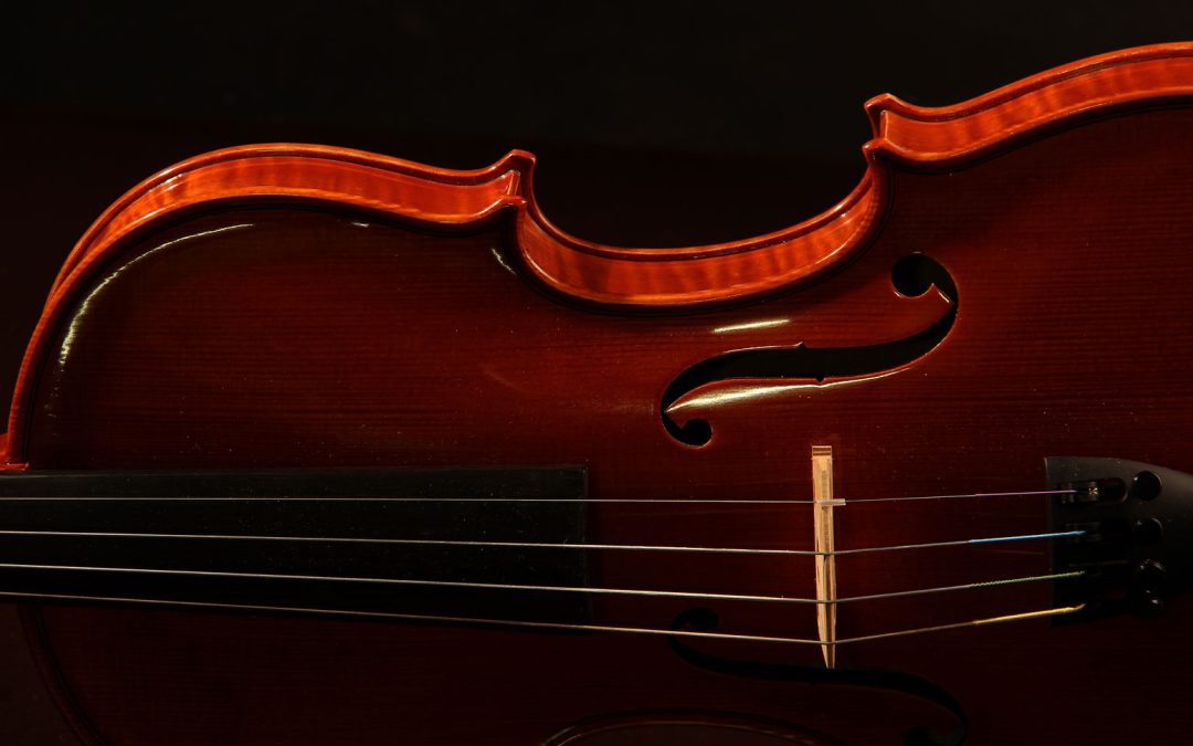 The Ultimate Journey           “The Red Violin”